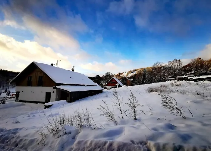 Villa In Krkono E With Sauna And Forest Views